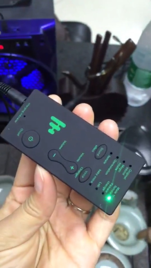 Amazon.com: Ghostface Voice Changer 1293 Portable Live Broadcast